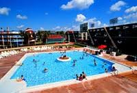 All Star Sports Pool