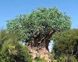 Tree of life