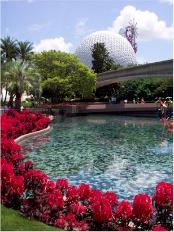 Epcot flowers